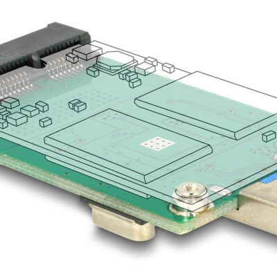 DELOCK αντάπτορας USB σε mSATA 62681, 5Gbps